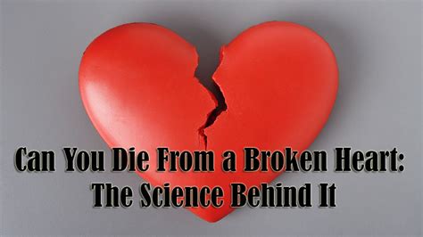 can people die from a broken heart